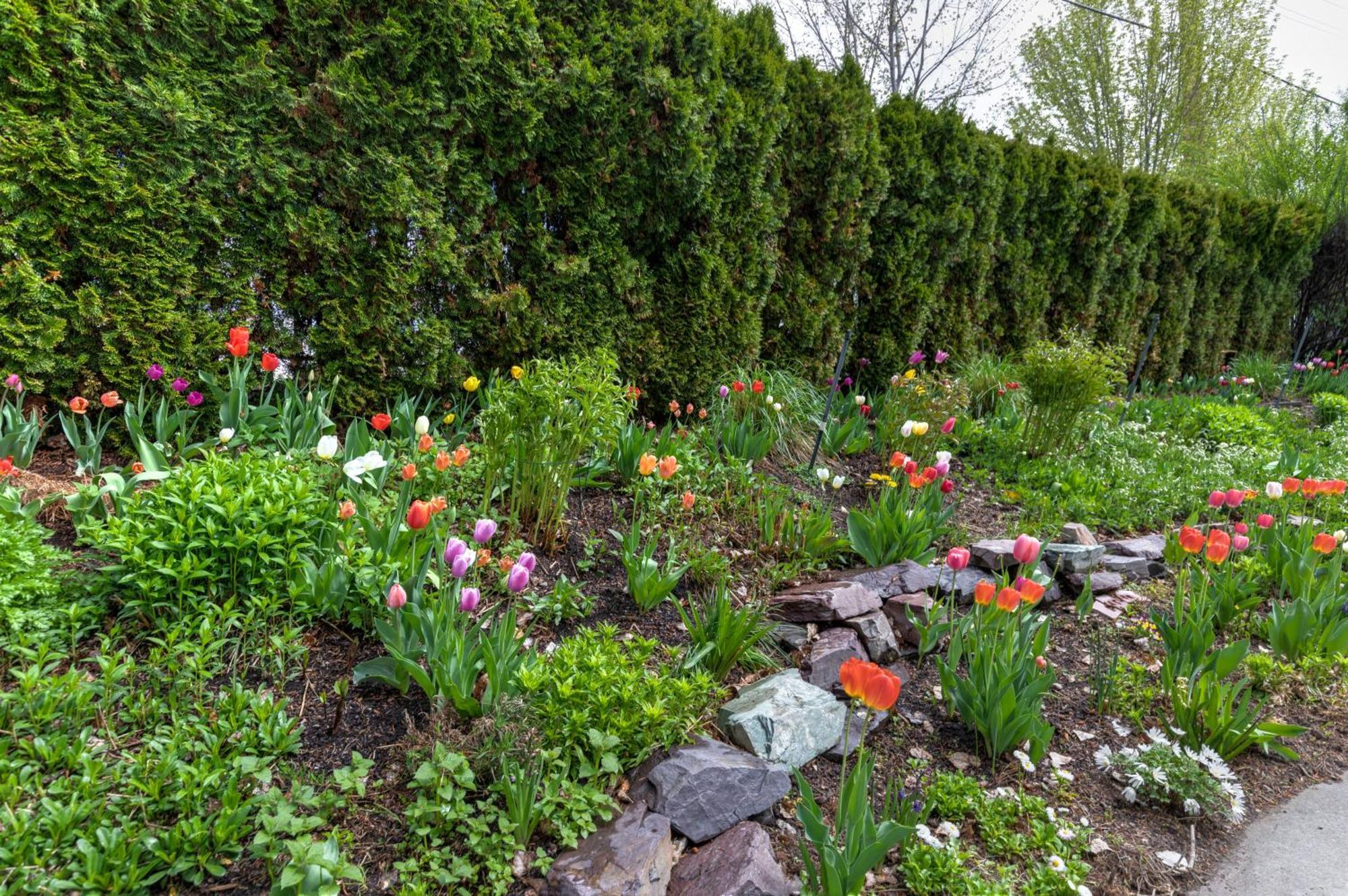 The Gibson Mansion Bed And Breakfast Missoula Εξωτερικό φωτογραφία